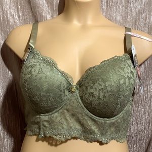 Daisy Fuentes Push Up Lace Bra Green NWT 40D Full Figure